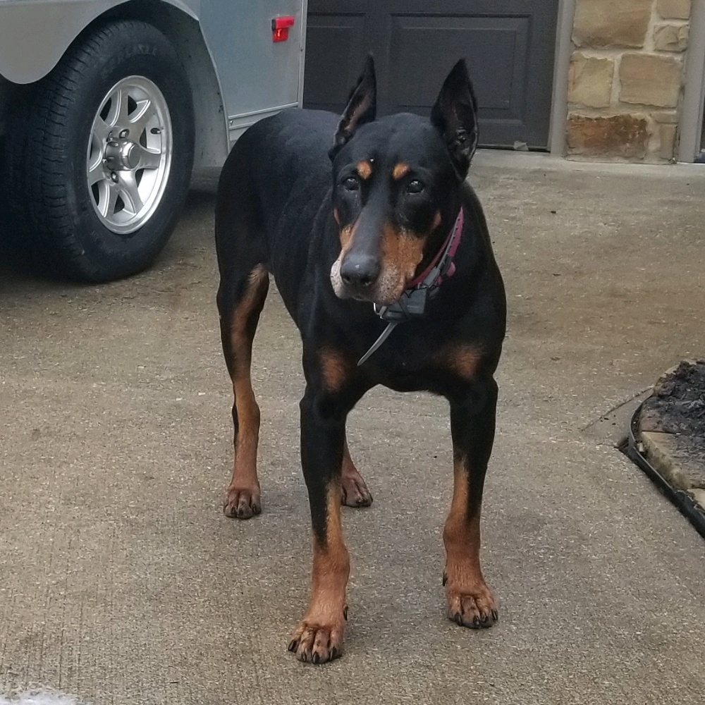 Meet your Posher, Gerardo